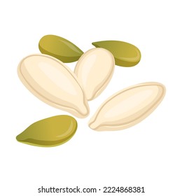 Granos y frijoles del vector de calabaza. Concepto vegetariano. Ilustración de semillas de calabaza vegetal y cereales
