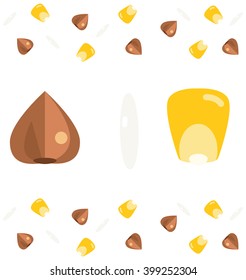 The grains of buckwheat, rice and corn in flat vector style