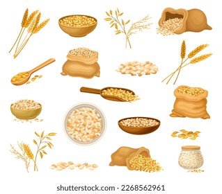 Grains Crop with Wheat or Oat Spikelet and Sack Big Vector Set