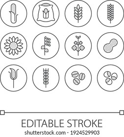 Symbol für die Getreidelinie eingestellt. Getreide, Weizen, Mais, Samen, Sonnenblumen, Bohnen, Pflanzen, Nüsse. Rahmenvektorzeichen, lineares Piktogramm einzeln auf Weiß. Symbol, Logo-Abbildung. Bearbeitbarer Strich.