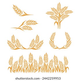 Grains plants and cereal, rye barley and wheat ear spikes. Bakery food concept. Hand drawn sketch vector illustration