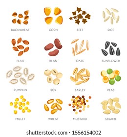 Grains And Seeds Isolated Icons, Cereal Food Vector. Buckwheat And Corn, Beet And Rice, Flax And Bean, Oats And Sunflower, Pumpkin And Soy. Barley And Peas, Millet And Wheat, Mustard And Sesame