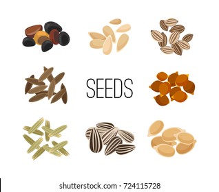 Grains and seeds isolated on white background. Sunflower and pumpkin, rice and corn, cereals