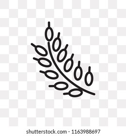 Grains vector icon isolated on transparent background, Grains logo concept