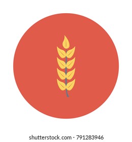 grains wheat food 