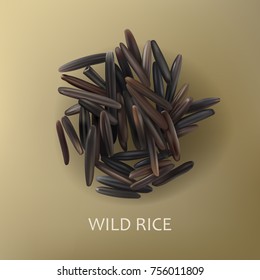 Grains of wild black rice, isolated on a brown background, realistic vector. Healthy diet, vegetarian food, design element