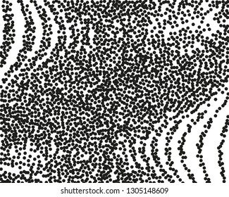 Grainy grunge abstract texture on a white background. Vector splatter of calligraphy ink in black on white background. Black ink blow explosion on white background. Paint spray, drop. Vector. 