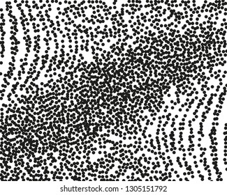 Grainy grunge abstract texture on a white background. Vector splatter of calligraphy ink in black on white background. Black ink blow explosion on white background. Paint spray, drop. Vector. 