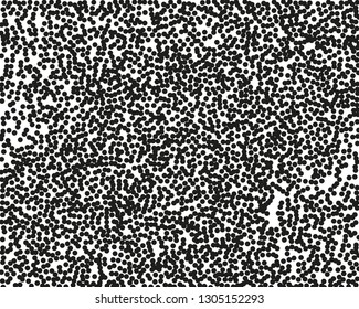 Grainy grunge abstract texture on a white background. Vector splatter of calligraphy ink in black on white background. Black ink blow explosion on white background. Paint spray, drop. Vector. 