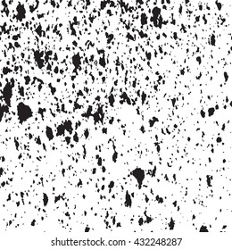 Grainy grunge abstract texture on white background. Vector splatter of calligraphy ink in on black background. Black  ink blow explosion on white background. Paint spray, drop. Vector.