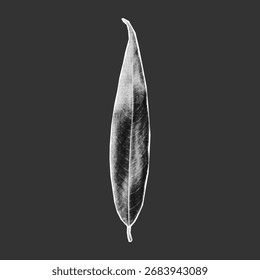 Gráfico de hojas de semitono granulado con efecto de papel envejecido e imperfecciones de fotocopia, pieza de pegatina nostálgica para composiciones de collage y2k caóticas.