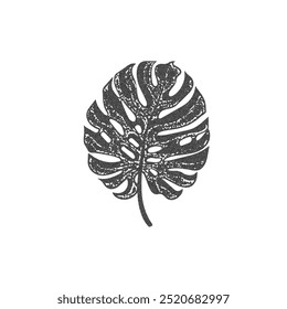 Efeito granulado de fotocopia retro folha de monstera. Textura de pontos pretos pontilhados vintage. Ruído arte grunge. Y2K planta tropical estética monocromática isolada no branco. estilo 90s exótico foliage vetor ícone
