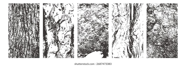 Colección de texturas ásperas granuladas. Fondos de tablones agrietados y superposiciones de Vector granulado