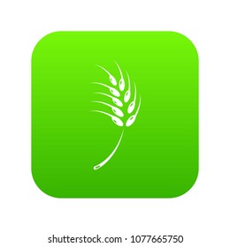 Grainy wheat icon green vector isolated on white background