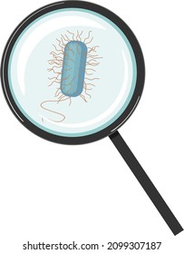 Gram-positive bacterium with flagella and cilia under magnifying glass isolated on white background