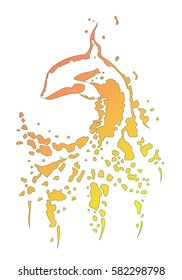 grampus