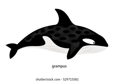 Grampus - animal eating squid, fish (including sharks), dolphins, seals, penguins