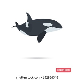 Grampus color flat icon for web and mobile design