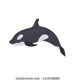 Grampus color vector icon. Flat design