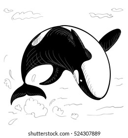 Grampus icon in doodle style on white background. Vector illustration