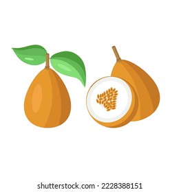 Granadilla. Exotic fruit. Vector illustration in the flat style. Set