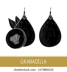 Granadilla. Fetus, leaves. Black silhouette on white background.