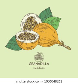 Granadilla: fruit, granadilla slice and leaves. Vector hand drawn illustration.