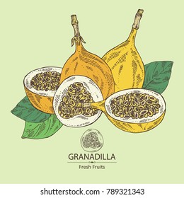 Granadilla: fruit, granadilla slice and leaves. Vector hand drawn illustration.