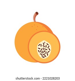 granadilla icon vector image on a white background