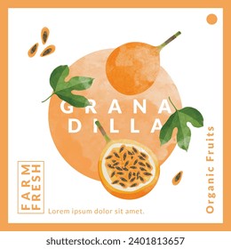 Granadilla or yellow Passion fruit packaging design templates, watercolour style vector illustration.