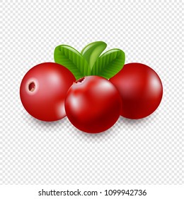 Grano Con Fondo Transparente Con Malla De Gradiente, Ilustración Vectorial