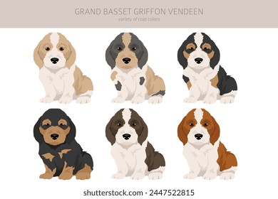 Grand basset griffon vendeen puppy clipart. Different poses, coat colors set.  Vector illustration