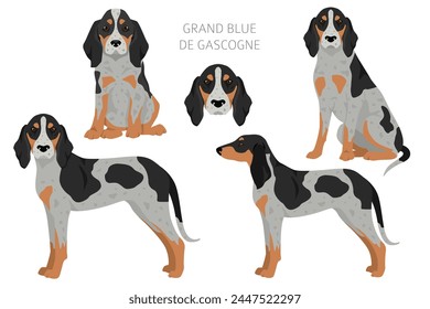 Grand Bleu de Gascogne clipart. Different coat colors set.  Vector illustration