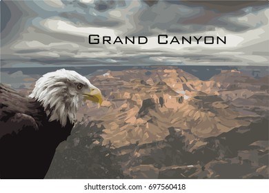 Grand Canyon Bald Eagle