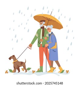 Grandfather and grandmother with umbrella walking dog outdoors. Senior people with pet on leash strolling under rainy autumn weather. Drops and leaves. Cartoon character in flat style vector