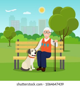 Grandfather sitting on wooden bench with his dog and relaxing in a park with cane. Vector flat style illustration
