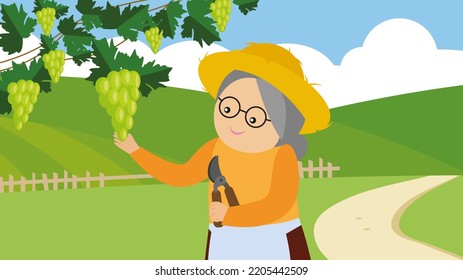 Grandma looks at the grapes in the vineyard