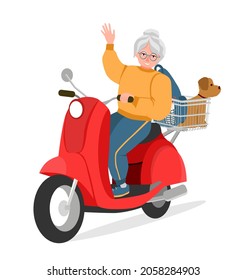 Grandma rides a scooter and waves her hand. A dog is sitting in the basket and there is a backpack. The concept of longevity and an active lifestyle. Vector isolated flat illustration