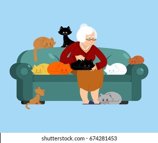 Grandmother and cat sitting on chair. granny cat lady. grandma and pet. old woman and animal