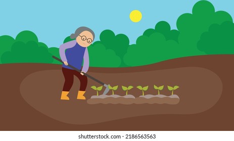 grandmother digs seedlings in the garden