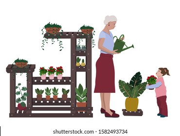 Grandmother and granddaughter take care of flowers together, gardening concept and child rearing.  Flowers in pots, a rack of plants. Vector design isolated on white background.