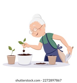 Grandmother holds sprout. Repotting sprout into a new pot. Homeplant with soil on a transplant mat. Active senior citizens. Home decor and gardening concept. Cute isolated vector illustration
