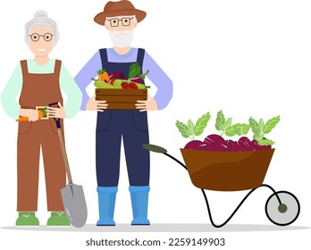 Grandparents in the autumn garden. Harvest. Autumn rural landscape. Vector illustration of nature. For flyers, shops, brochures and covers, advertising, social networks and banners.