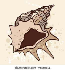 Grange shell. Hand drawn vector illustration