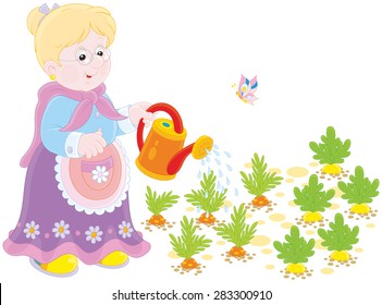 Granny watering vegetables