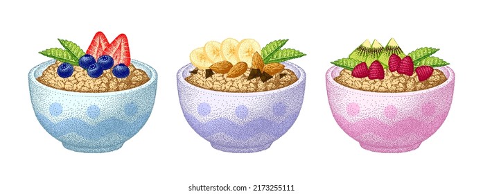 Granola in bowl set. Fruits, berry and nuts, mint. Oatmeal breakfast, oat grain porridge. Muesli flakes. Vector sketch. Realistic illustrations.