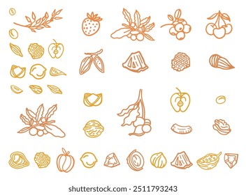 Conjunto de vetores desenhado à mão de Granola. Estalidos. Aveia com frutas, bagas, nozes, cacau, saborosos ingredientes de cereais.	
