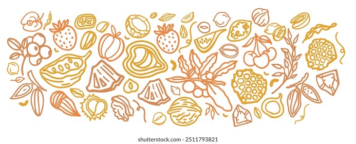 Conjunto de vetores desenhado à mão de Granola. Estalidos. Aveia com frutas, bagas, nozes, cacau, saborosos ingredientes de cereais.	