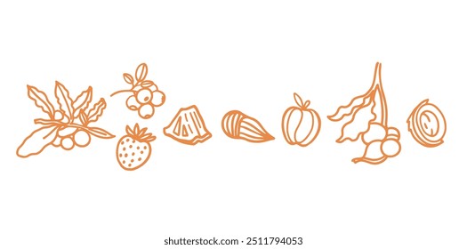 Conjunto de vetores desenhado à mão de Granola. Estalidos. Aveia com frutas, bagas, nozes, cacau, saborosos ingredientes de cereais.	