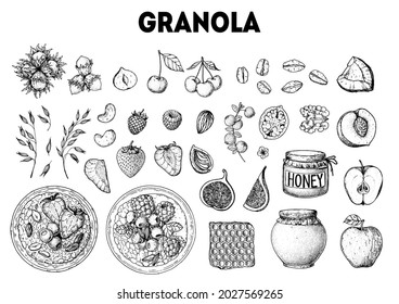 Granola ingredients illustration. Oat flakes , berries, fruits and nuts hand drawn sketch. Granola Breakfast. Muesli food menu design. Hand drawn vector illustration. Granola design